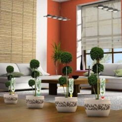 Cône D'Arrosage D'absence : Jusqu'à 25 Cm 7 Cl - S, Orange - Pack 3+1 9 Cône D'Arrosage D'absence : Jusqu'à 25 Cm 7 Cl - S, Orange - Pack 3+1 -Jardinage Fournitures Soldes 177127 008