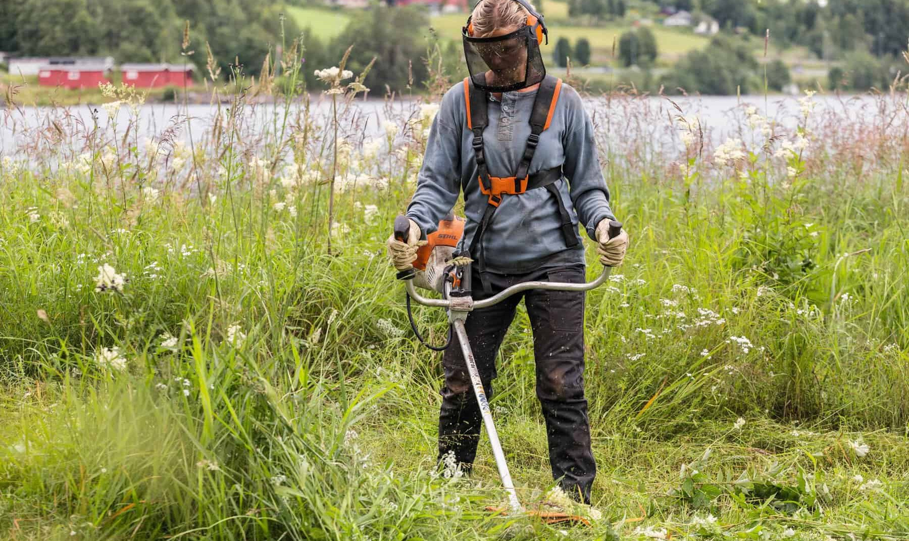 Jardinage Fournitures Soldes 18 Jardinage Fournitures Soldes -Jardinage Fournitures Soldes 2