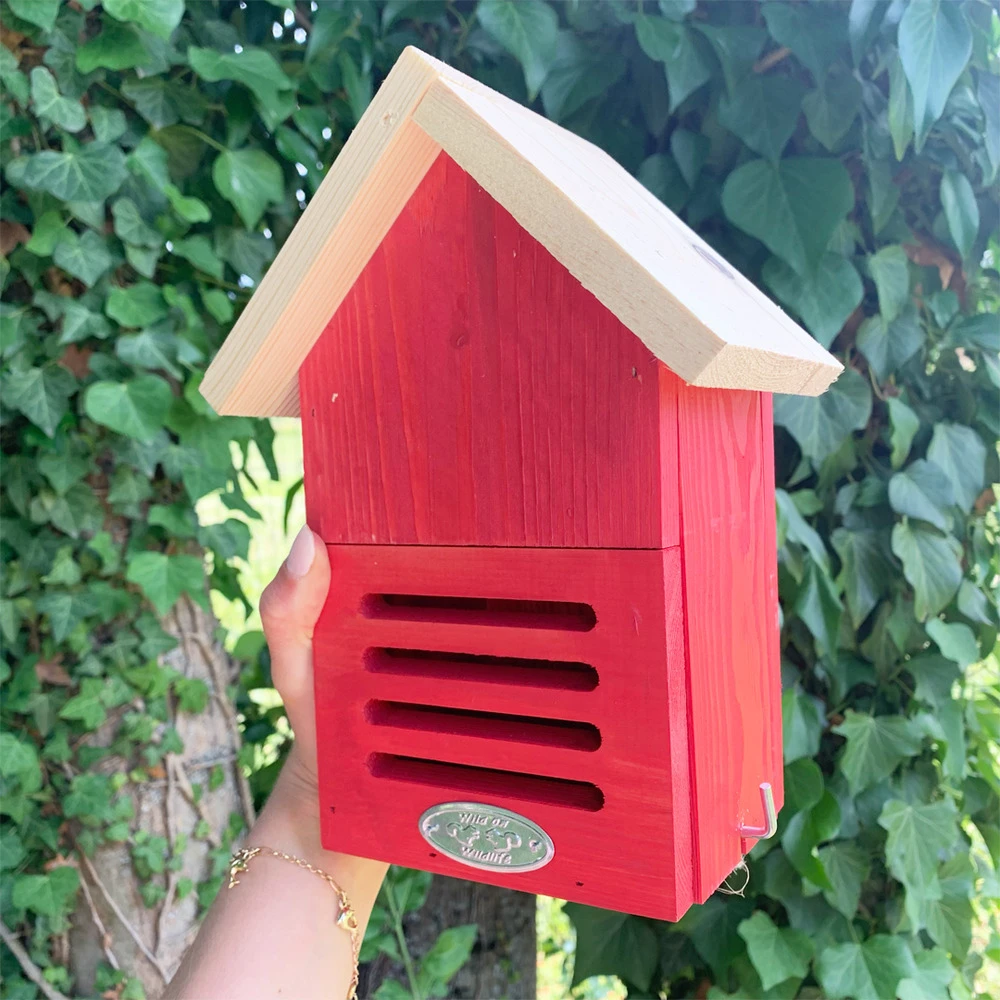 Hôtel à Coccinelles - Coloris Aléatoire 3 Hôtel à Coccinelles - Coloris Aléatoire