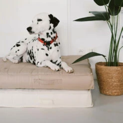 Coussin De Sol Ou D'assise Matelassé Polyester écru 120 X 80 X 12cm -Jardinage Fournitures Soldes 5e100d47df694be5