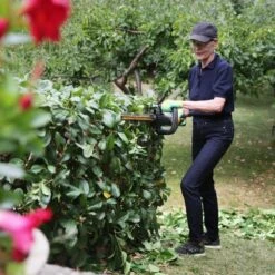 Pack Taille-haies Sur Batterie 18v Lamier 51cm Texas Hedge 200 Chargeur Inclus -Jardinage Fournitures Soldes 63503efdbf5e34.79098694