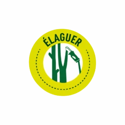 Pack Tronçonneuse Sans Fil + Batterie De Rechange-vert -Jardinage Fournitures Soldes 6363b0dbb5b924.38775051