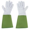 ESSCHERT DESIGN Gants Ronces Et épines -Jardinage Fournitures Soldes 640a266e2f6947.32879165