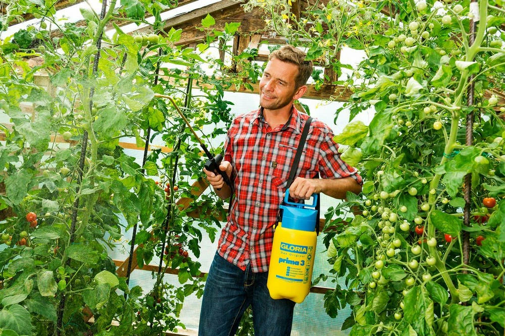 Gloria Pulvérisateur A Main Gloria - Modele Prima 3 - Avec Lance Et Sangle - Réservoir Polyéthylene - 3l Pour Une Pression De 4 Gloria Pulvérisateur A Main Gloria - Modele Prima 3 - Avec Lance Et Sangle - Réservoir Polyéthylene - 3l Pour Une Pression De – Image 2