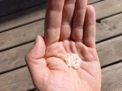 Nématodes Mouches Des Terreaux En Micro-capsules Par 200 -Jardinage Fournitures Soldes 644181f5c5e9a8.52300689