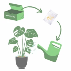 Nématodes Spécifiques Contre Les Otiorhynques 5 Millions -Jardinage Fournitures Soldes 644c0daa0ef981.11544754