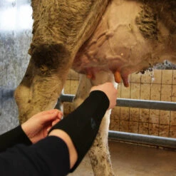 Paire De Manchettes De Protection En Néoprène - Xxl -Jardinage Fournitures Soldes 6453a78ebea448.70303060