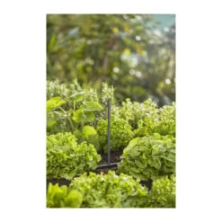 Gardena Tube Prolongateur Pour Micro-asperseur - 13326-20 6 Gardena Tube Prolongateur Pour Micro-asperseur - 13326-20 -Jardinage Fournitures Soldes 645952894cd708.23649614