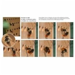 Luxus-insektenhotels Hôtel à Insectes Avec Toit En Hêtre Maja Naturel 7 Luxus-insektenhotels Hôtel à Insectes Avec Toit En Hêtre Maja Naturel -Jardinage Fournitures Soldes 645b9442ecc599.55075722