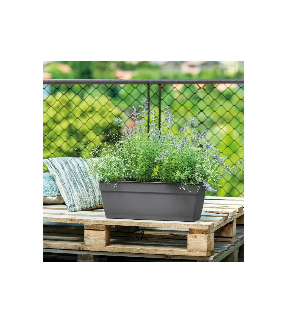 Jardiniere Ninfea R Anthracite A Réserve D'eau - Coloris Gris Anthracite - 60cm 3 Jardiniere Ninfea R Anthracite A Réserve D'eau - Coloris Gris Anthracite - 60cm