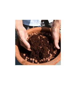 Billes D'argile - 40l -Jardinage Fournitures Soldes 64651f6d328bb3.41474940