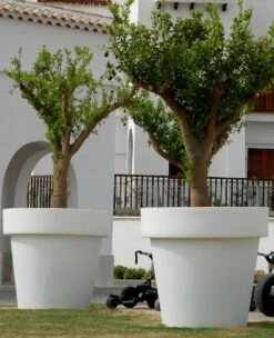 Pot De Fleurs Magnolia 160 ø160x152cm - Anthracite 7 Pot De Fleurs Magnolia 160 ø160x152cm - Anthracite -Jardinage Fournitures Soldes 6470a364705c04.06641420