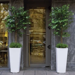 Pot De Fleurs Melisa 50 50x50x110cm - Noir 7 Pot De Fleurs Melisa 50 50x50x110cm - Noir -Jardinage Fournitures Soldes 6478c7ef469a04.08112862