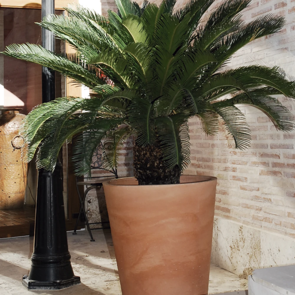 Pot De Fleurs Gerbera ø50x59,5cm - Couleur Terracota 5 Pot De Fleurs Gerbera ø50x59,5cm - Couleur Terracota – Image 3