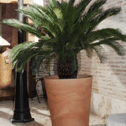 Pot De Fleurs Gerbera ø50x59,5cm - Bronze -Jardinage Fournitures Soldes 6478c7f887bc34.06527829