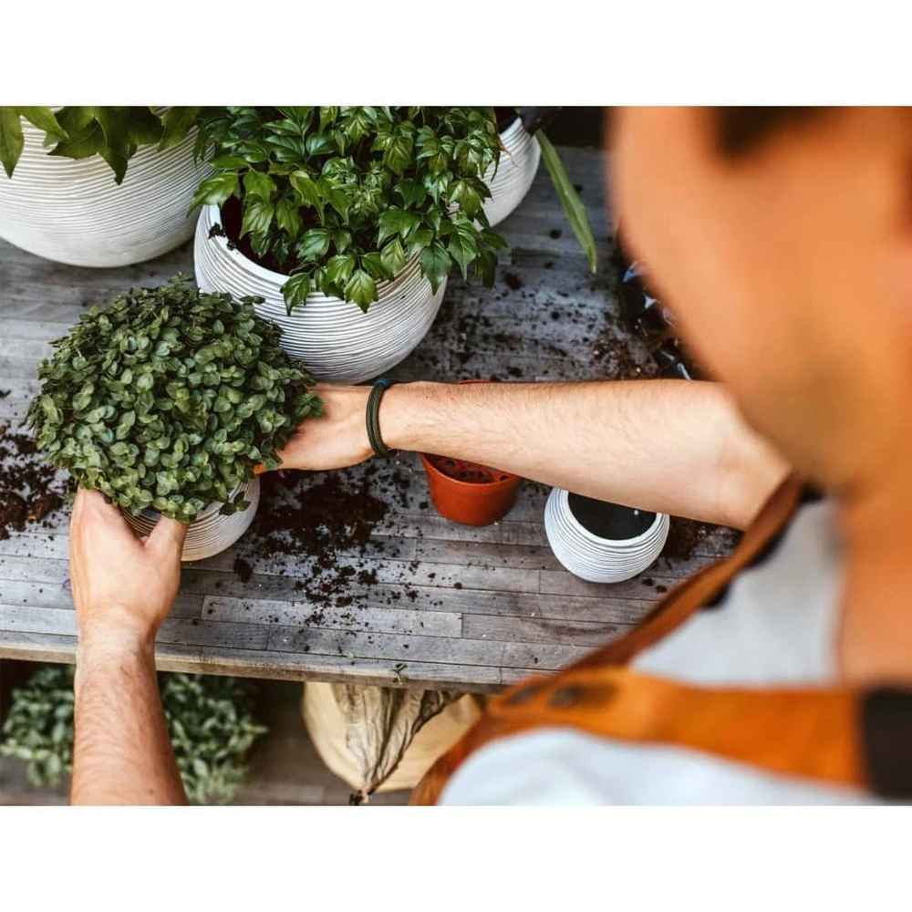 Ensemble De Pot De Fleurs Boule Nature Rib Ivoire 6 Ensemble De Pot De Fleurs Boule Nature Rib Ivoire – Image 4