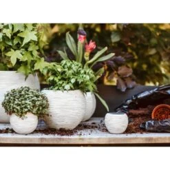 Ensemble De Pot De Fleurs Boule Nature Rib Ivoire 8 Ensemble De Pot De Fleurs Boule Nature Rib Ivoire -Jardinage Fournitures Soldes 64798958102562.13059952