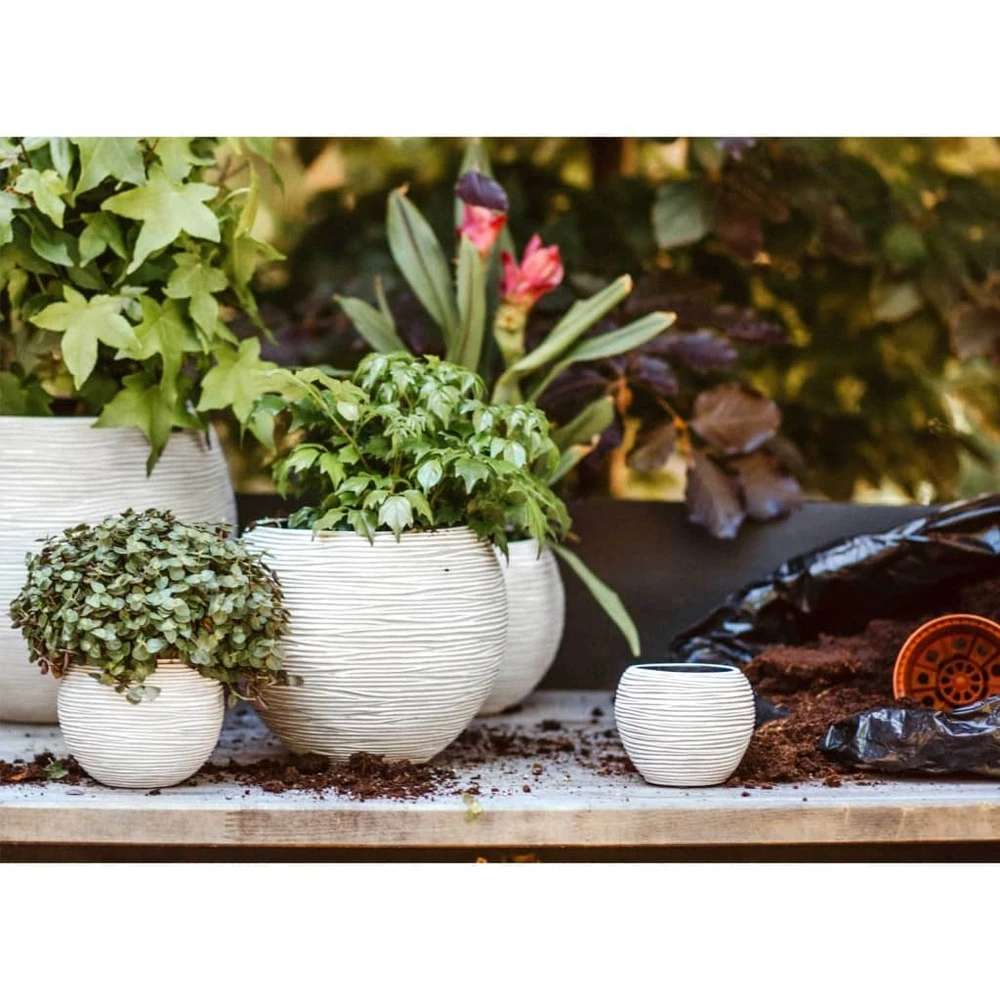 Ensemble De Pot De Fleurs Boule Nature Rib Ivoire 5 Ensemble De Pot De Fleurs Boule Nature Rib Ivoire – Image 3