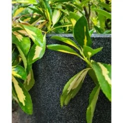 Pot à Fleurs Waste Smooth 35x34 Cm Gris -Jardinage Fournitures Soldes 6479895f489579.99814901