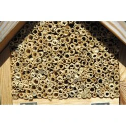 Hôtel à Insectes Naturel, Rouge Et Vert 11 Hôtel à Insectes Naturel, Rouge Et Vert -Jardinage Fournitures Soldes 6483189eeab926.46327980