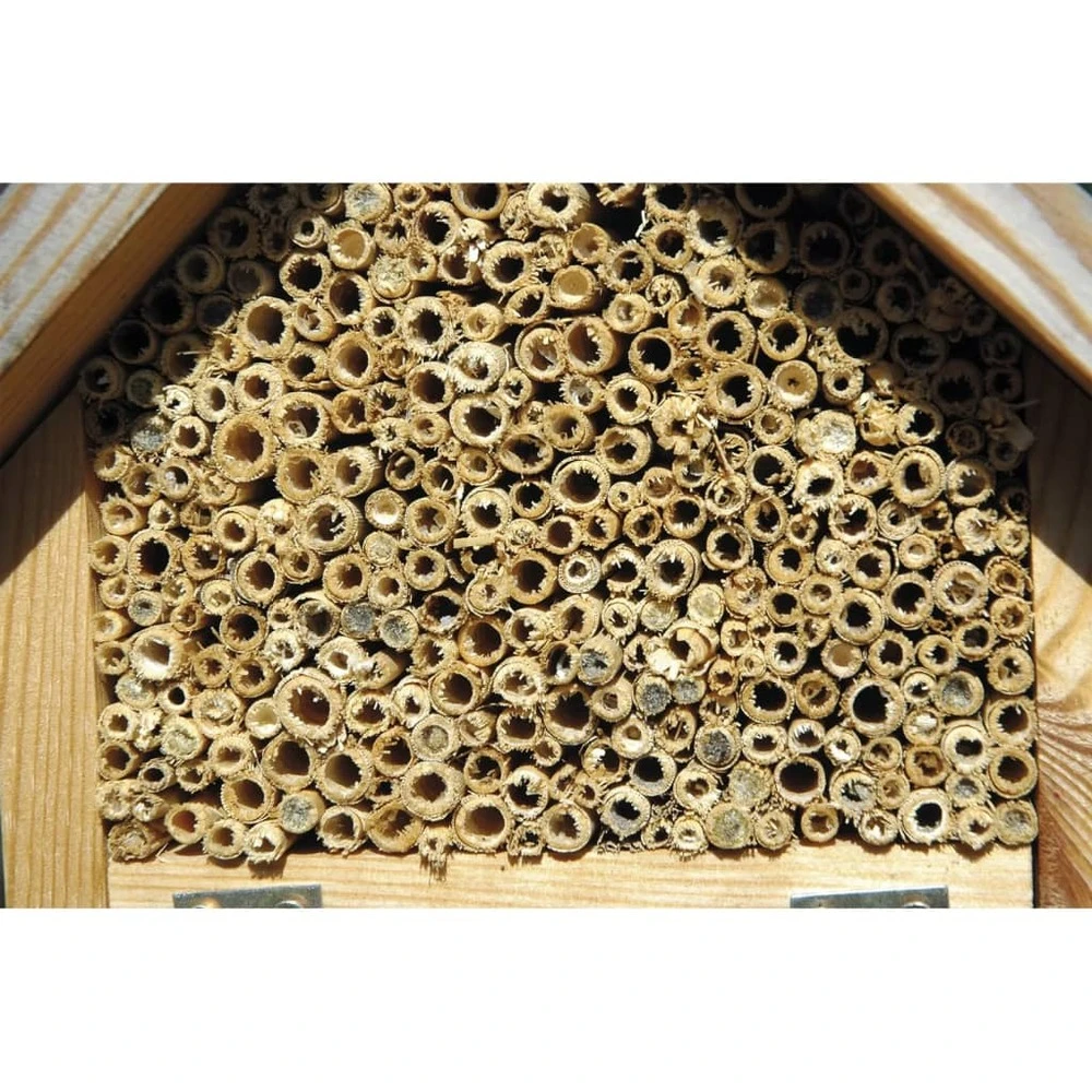 Hôtel à Insectes Naturel, Rouge Et Vert 6 Hôtel à Insectes Naturel, Rouge Et Vert – Image 4