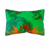 Coussin Signature 60x40cm (jungala Fauve) -Jardinage Fournitures Soldes 64831ee6ce3c54.61331421