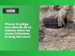 Carpt720 Lot De 4 Boîtes Raticide Canadien Pat'appât Fortes Infestatio 11 Carpt720 Lot De 4 Boîtes Raticide Canadien Pat'appât Fortes Infestatio -Jardinage Fournitures Soldes 6eb79456855960f1