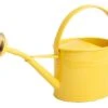 Arrosoir Galvanisé D’une Contenance De 1,75L Jaune -Jardinage Fournitures Soldes 712226 001
