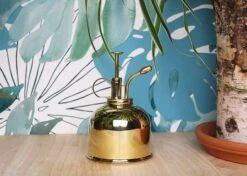 Vaporisateur En Laiton Doré Pour Plantes D'intérieur -Jardinage Fournitures Soldes 829216 001
