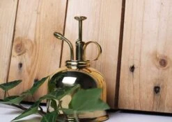 Vaporisateur En Laiton Doré Pour Plantes D'intérieur -Jardinage Fournitures Soldes 829216 002