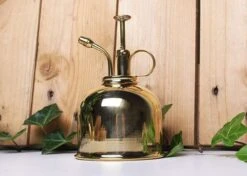 Vaporisateur En Laiton Doré Pour Plantes D'intérieur -Jardinage Fournitures Soldes 829216 004