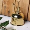 Vaporisateur En Laiton Doré Pour Plantes D'intérieur -Jardinage Fournitures Soldes 829216 005