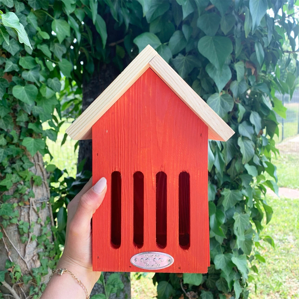 Hôtel à Papillons - Coloris Aléatoire 4 Hôtel à Papillons - Coloris Aléatoire – Image 2