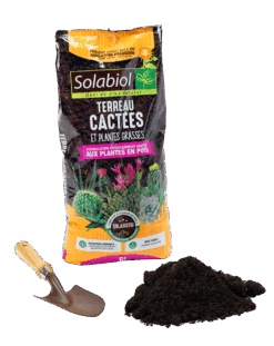 Solabiol Tercac6 | Terreau Cactées Et Plantes Grasses | 6l | Croissance Vigoure -Jardinage Fournitures Soldes bfbf44327da41075
