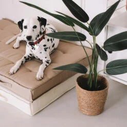 Coussin De Sol Ou D'assise Matelassé Polyester écru 120 X 80 X 12cm -Jardinage Fournitures Soldes c0651a9cfc6e5bd6