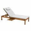 Bain De Soleil Avec Coussin Et Tablette En Bois écru 1 Bain De Soleil Avec Coussin Et Tablette En Bois écru -Jardinage Fournitures Soldes e517000549b1d805