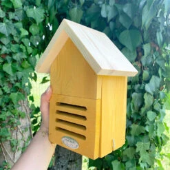 Hôtel à Coccinelles - Coloris Aléatoire 11 Hôtel à Coccinelles - Coloris Aléatoire -Jardinage Fournitures Soldes f5a6eab39ca98821